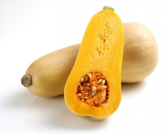 photo of squash