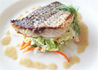 photo of pan seared bass asian dill slaw