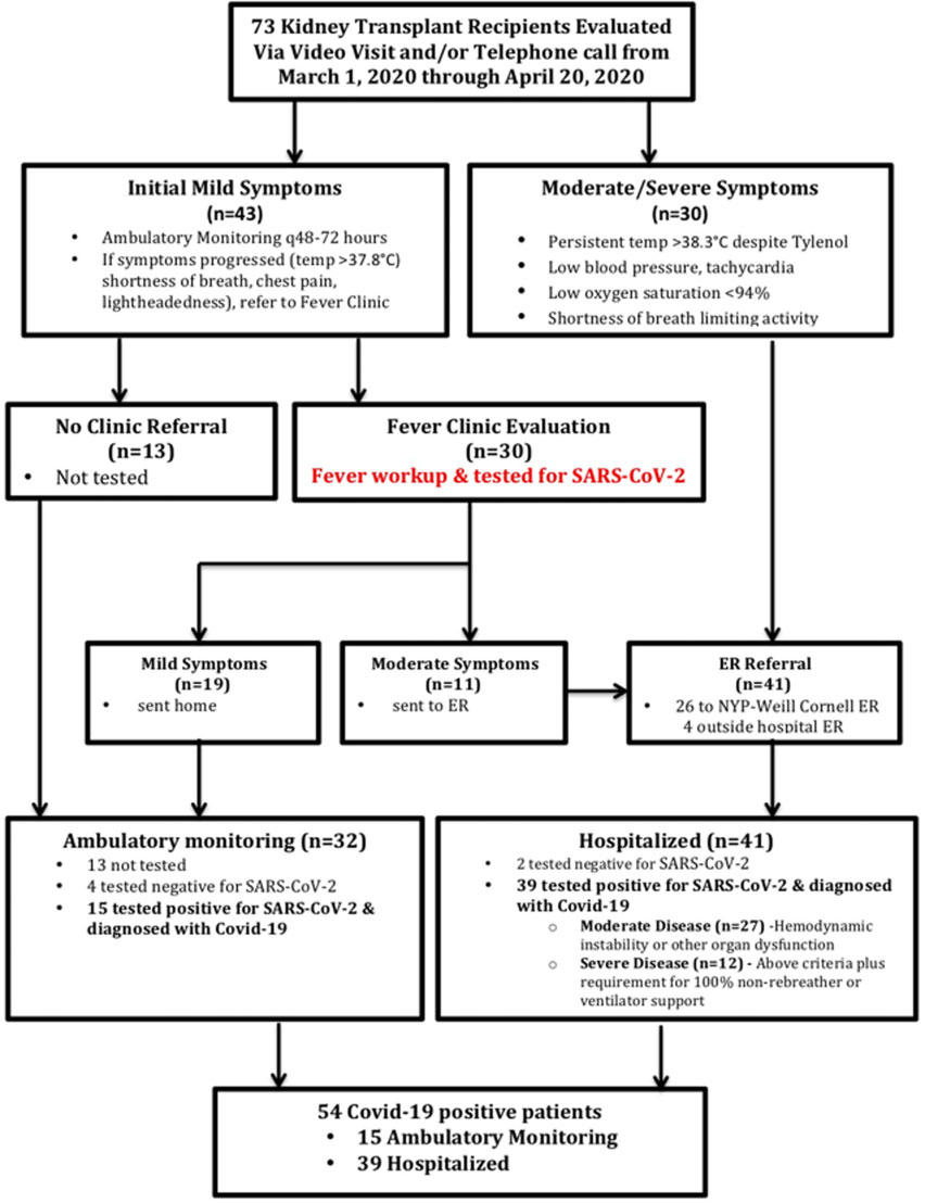 image of an illustrated flowchart