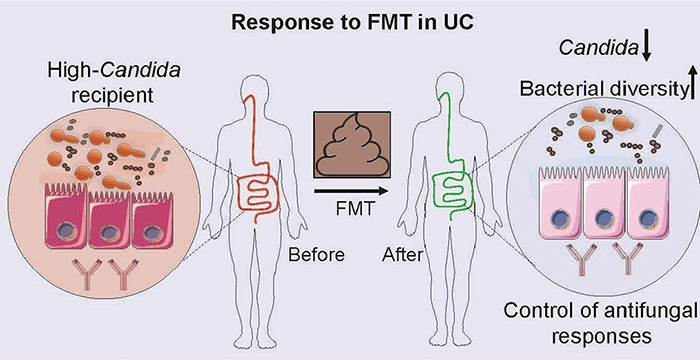 response to fmt in uc