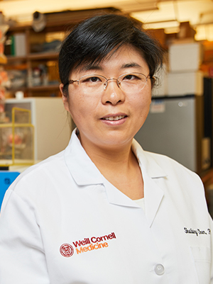 image of Dr. Shuibing Chen