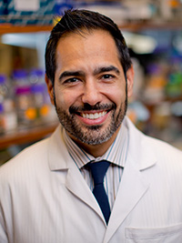 Dr. Marcus Goncalves