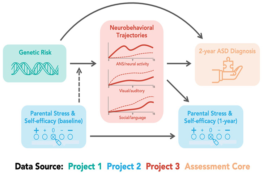 graph of data analyses that predict autism