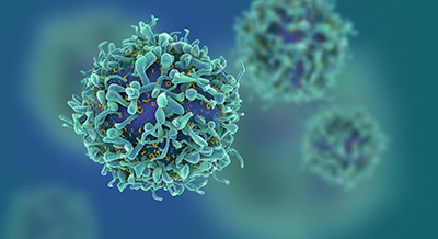 vector illustration of t-cells