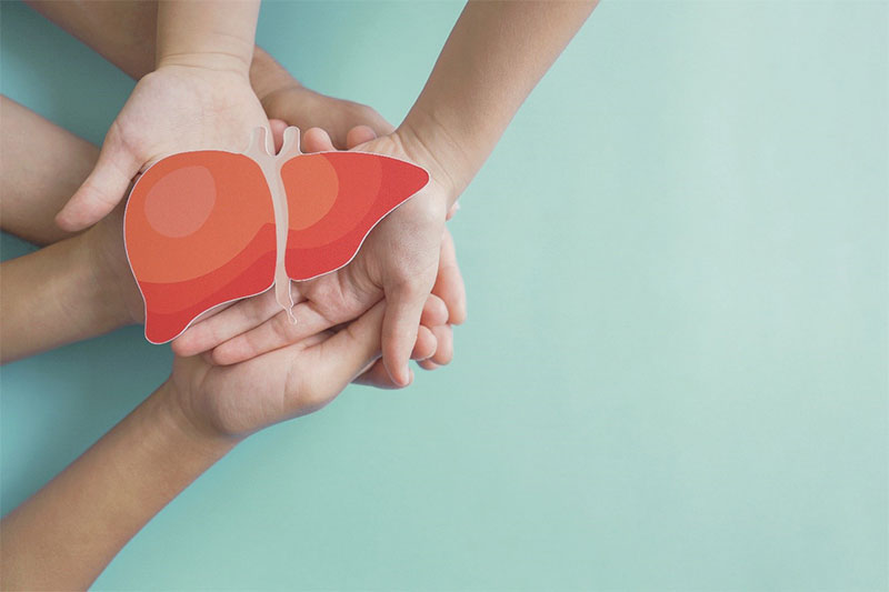 Children’s hands holding an image of a liver on a blue-green background